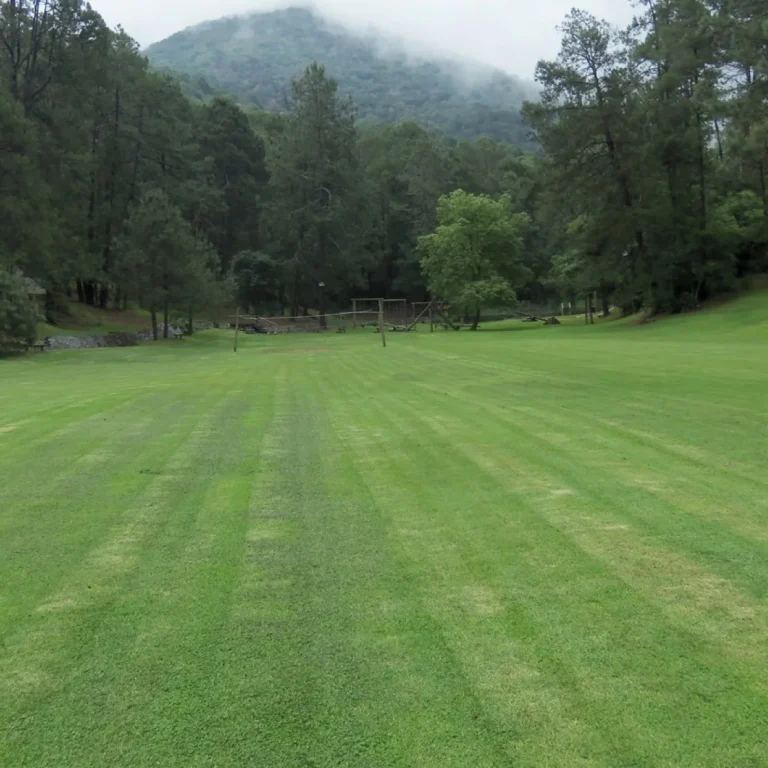 vitro-park-vacations