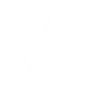 Logo-alcalí-widget